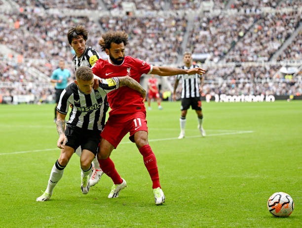 这位备受瞩 这位备受瞩